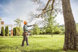 Best Arborist Consultation Services  in Squaw Valley, CA