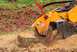 Best Tree Maintenance Programs  in Squaw Valley, CA