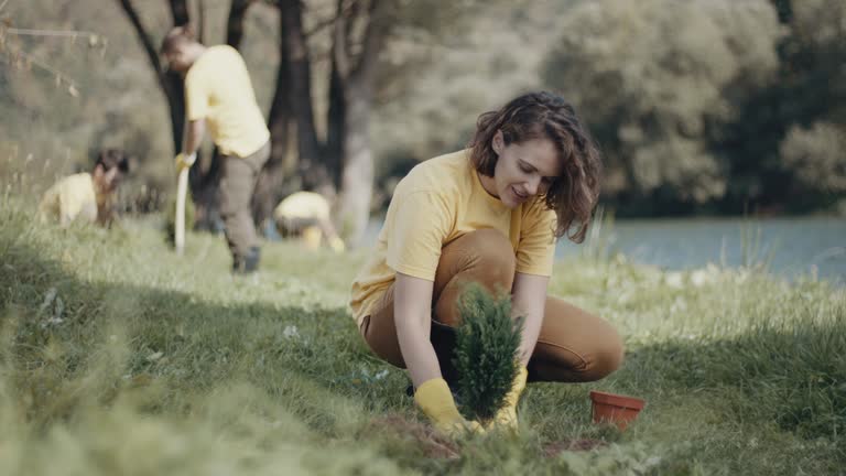 Best Lawn Irrigation Installation and Maintenance  in Squaw Valley, CA